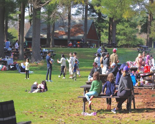 Outdoor activity in a park during the weekend